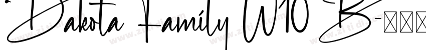 Dakota Family W10 B字体转换